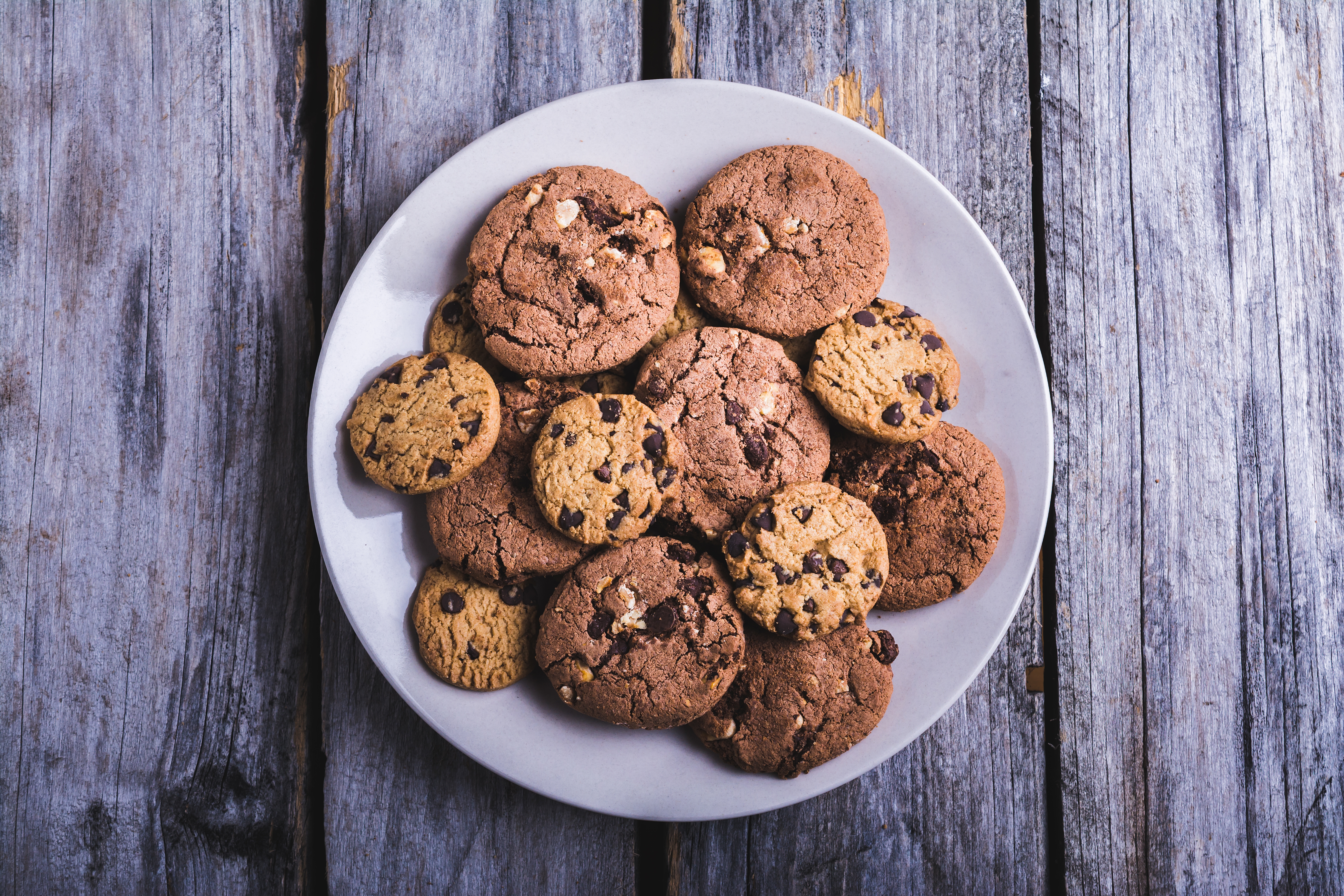 Fresh chocolate chip cookie
